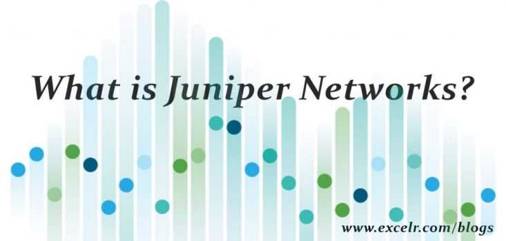 juniper1.jpg